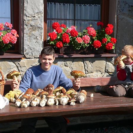 Penzion Tatry Zdiar Luaran gambar